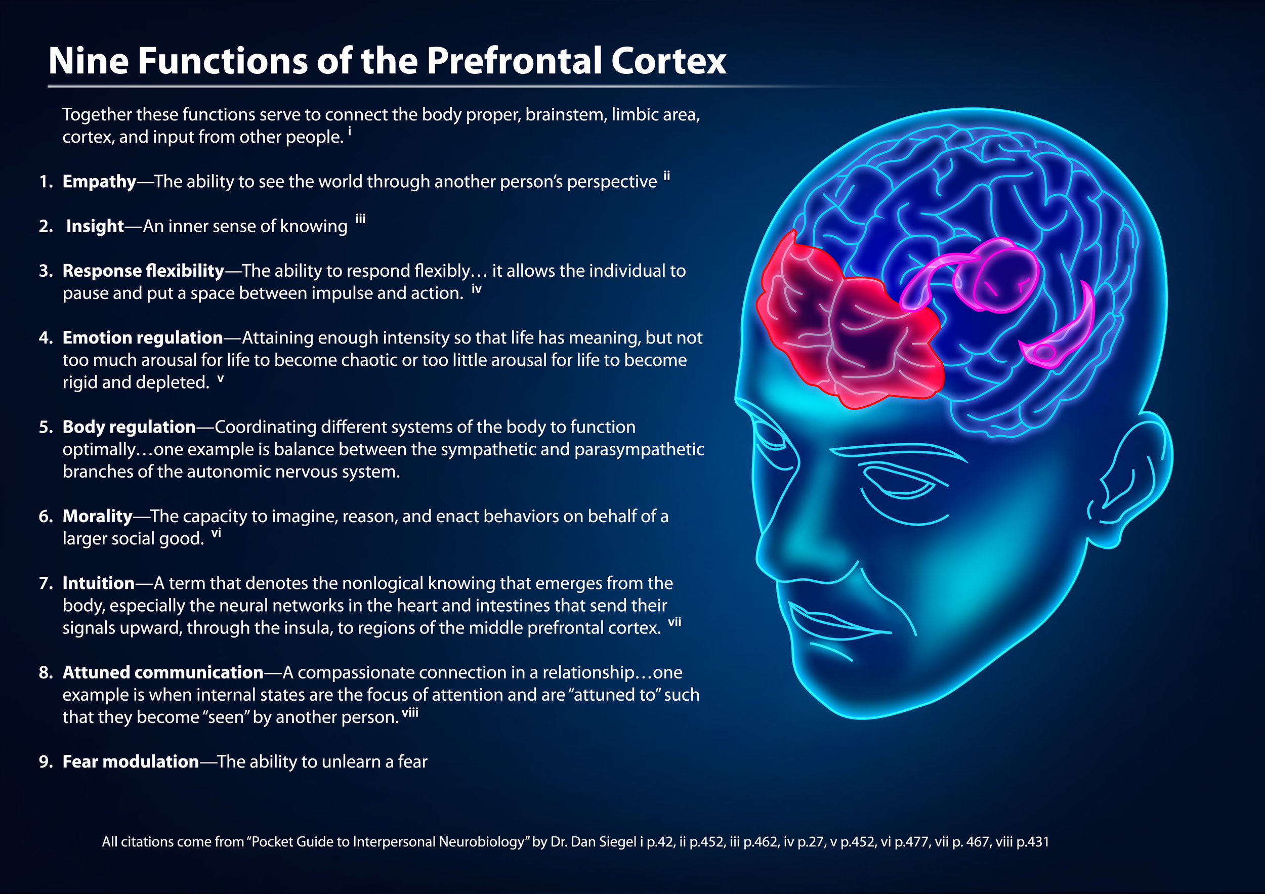 https://crickeyamigudinatura.org/wp-content/uploads/2024/03/0c001-9functionsoftheprefrontalcortex.jpg
